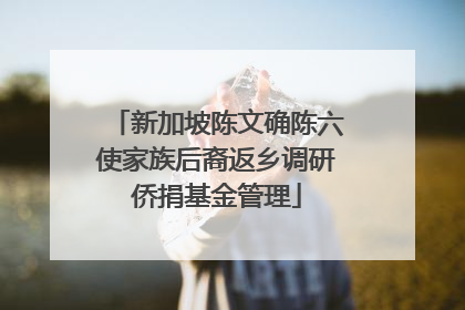 新加坡陈文确陈六使家族后裔返乡调研侨捐基金管理
