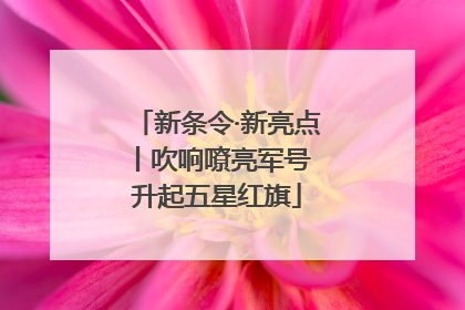 新条令·新亮点丨吹响嘹亮军号 升起五星红旗