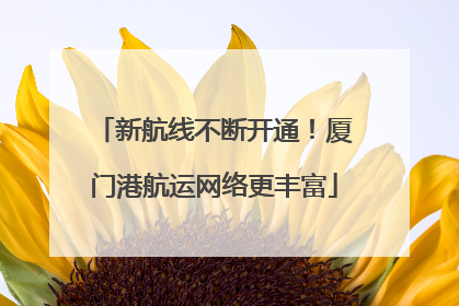新航线不断开通！厦门港航运网络更丰富