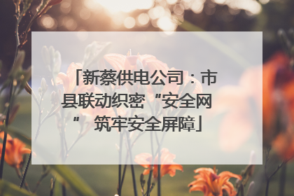 新蔡供电公司：市县联动织密“安全网” 筑牢安全屏障