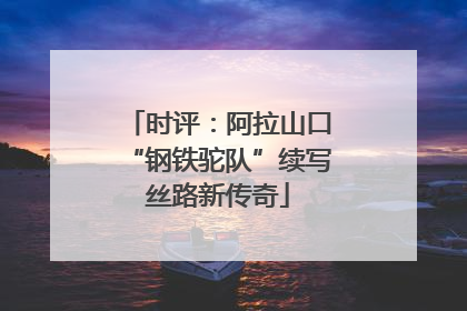 时评：阿拉山口“钢铁驼队”续写丝路新传奇