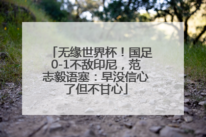 无缘世界杯！国足0-1不敌印尼，范志毅语塞：早没信心了但不甘心