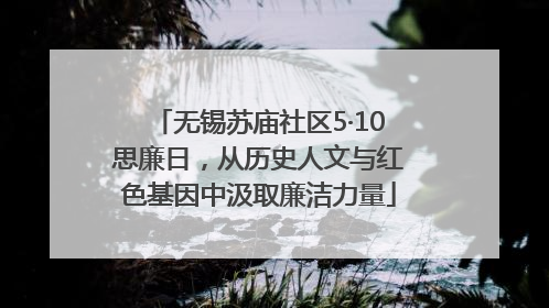 无锡苏庙社区5·10思廉日，从历史人文与红色基因中汲取廉洁力量