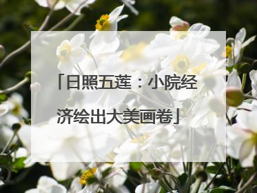 日照五莲：小院经济绘出大美画卷