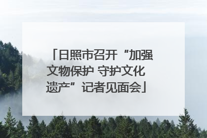 日照市召开“加强文物保护 守护文化遗产”记者见面会