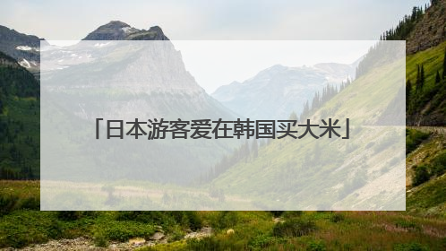 日本游客爱在韩国买大米