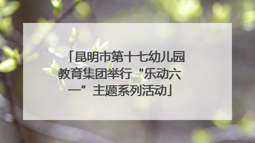 昆明市第十七幼儿园教育集团举行“乐动六一”主题系列活动