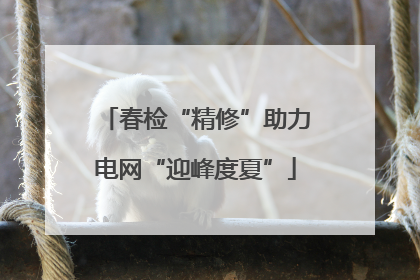 春检“精修”助力电网“迎峰度夏”