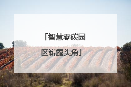 智慧零碳园区崭露头角