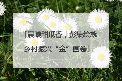 晨曦甜瓜香，彭集绘就乡村振兴“金”画卷