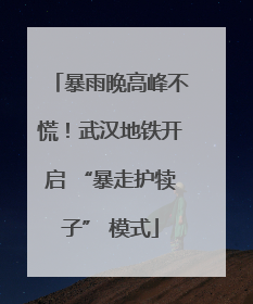 暴雨晚高峰不慌！武汉地铁开启 “暴走护犊子” 模式