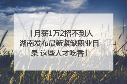 月薪1万2招不到人 湖南发布最新紧缺职业目录 这些人才吃香
