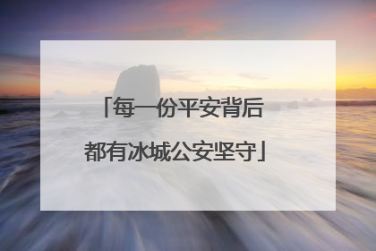 每一份平安背后 都有冰城公安坚守
