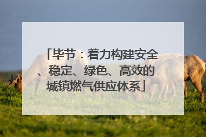 毕节：着力构建安全、稳定、绿色、高效的城镇燃气供应体系