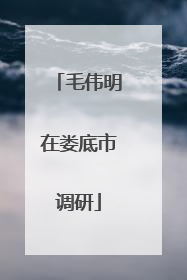 毛伟明在娄底市调研