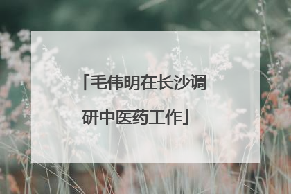 毛伟明在长沙调研中医药工作