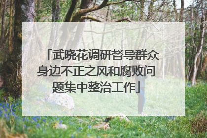 武晓花调研督导群众身边不正之风和腐败问题集中整治工作