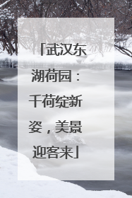 武汉东湖荷园：千荷绽新姿，美景迎客来