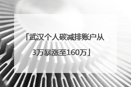 武汉个人碳减排账户从3万暴涨至160万