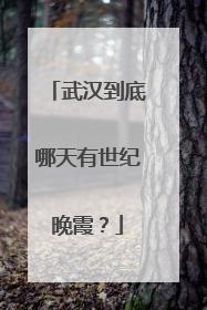 武汉到底哪天有世纪晚霞？
