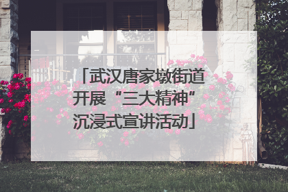武汉唐家墩街道开展“三大精神”沉浸式宣讲活动