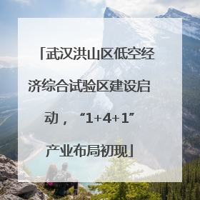 武汉洪山区低空经济综合试验区建设启动，“1+4+1”产业布局初现