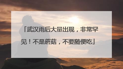 武汉雨后大量出现，非常罕见！不是蘑菇，不要随便吃