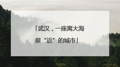 武汉，一座离大海很“近”的城市