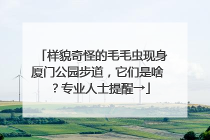 样貌奇怪的毛毛虫现身厦门公园步道，它们是啥？专业人士提醒→