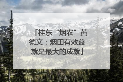 桂东“烟农”黄德文：烟田有效益就是最大的成就