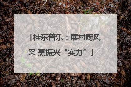 桂东普乐：展村厨风采 烹振兴“实力”