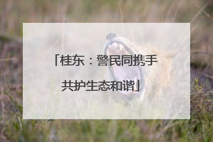 桂东：警民同携手 共护生态和谐