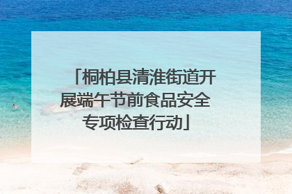 桐柏县清淮街道开展端午节前食品安全专项检查行动