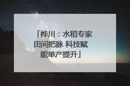 桦川：水稻专家田间把脉 科技赋能单产提升