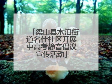 梁山县水泊街道名仕社区开展中高考静音倡议宣传活动
