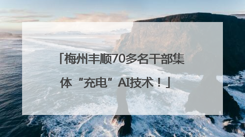梅州丰顺70多名干部集体“充电”AI技术！