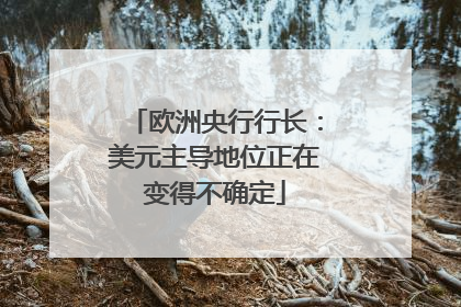 欧洲央行行长：美元主导地位正在变得不确定