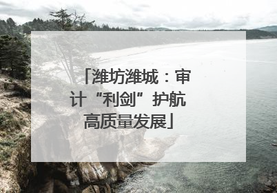潍坊潍城：审计“利剑”护航高质量发展