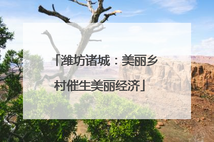 潍坊诸城：美丽乡村催生美丽经济