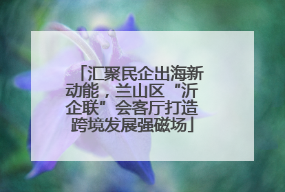 汇聚民企出海新动能，兰山区“沂企联”会客厅打造跨境发展强磁场