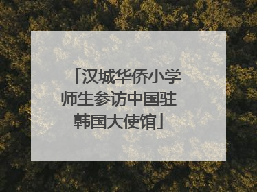 汉城华侨小学师生参访中国驻韩国大使馆