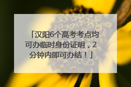 汉阳6个高考考点均可办临时身份证明，2分钟内即可办结！