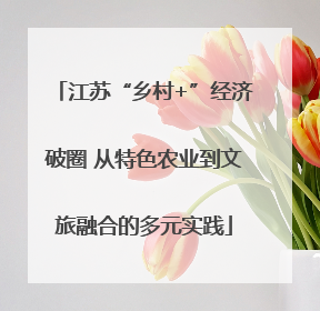 江苏“乡村+”经济破圈 从特色农业到文旅融合的多元实践