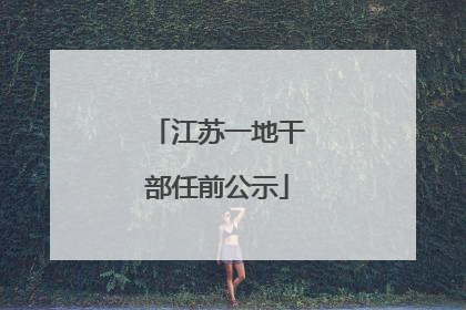江苏一地干部任前公示