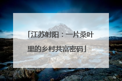江苏射阳：一片桑叶里的乡村共富密码