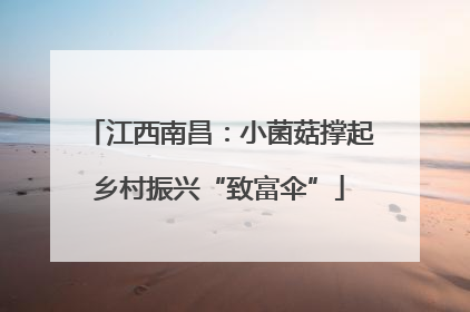 江西南昌：小菌菇撑起乡村振兴“致富伞”