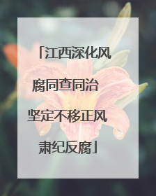 江西深化风腐同查同治 坚定不移正风肃纪反腐