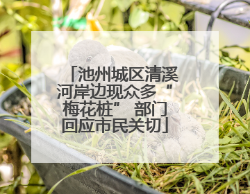 池州城区清溪河岸边现众多“梅花桩” 部门回应市民关切