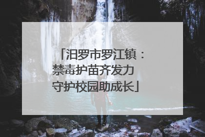 汨罗市罗江镇：禁毒护苗齐发力 守护校园助成长