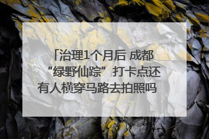 治理1个月后 成都“绿野仙踪”打卡点还有人横穿马路去拍照吗？｜民情瞭望